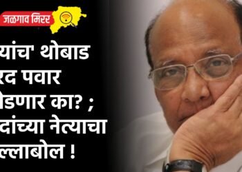 ‘त्यांच’ थोबाड शरद पवार फोडणार का? ; दादांच्या नेत्याचा हल्लाबोल !