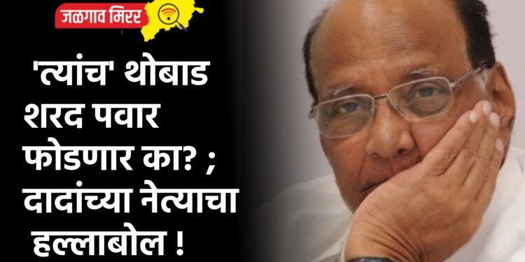 ‘त्यांच’ थोबाड शरद पवार फोडणार का? ; दादांच्या नेत्याचा हल्लाबोल !