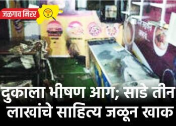 दुकाला भीषण आग; साडे तीन लाखांचे साहित्य जळून खाक