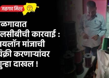 जळगावात एलसीबीची कारवाई : नायलॉन मांजाची विक्री करणाऱ्यांवर गुन्हा दाखल !