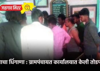 तरुणाचा धिंगाणा : ग्रामपंचायत कार्यालयात केली तोडफोड !