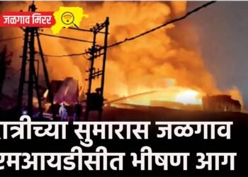 रात्रीच्या सुमारास जळगाव एमआयडीसीत भीषण आग