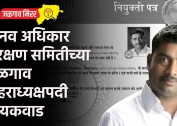 मानव अधिकार संरक्षण समितीच्या जळगाव शहराध्यक्षपदी गायकवाड