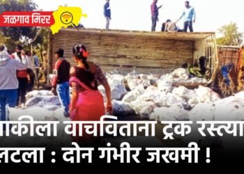 दुचाकीला वाचविताना ट्रक रस्त्यावर उलटला : दोन गंभीर जखमी !