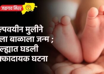 अल्पवयीन मुलीने दिला बाळाला जन्म ; जिल्ह्यात घडली धक्कादायक घटना