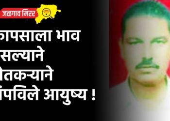 कापसाला भाव नसल्याने शेतकऱ्याने संपविले आयुष्य !