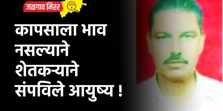 कापसाला भाव नसल्याने शेतकऱ्याने संपविले आयुष्य !