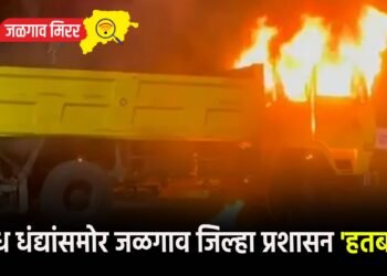 अवैध धंद्यांसमोर जळगाव जिल्हा प्रशासन ‘हतबल’ !