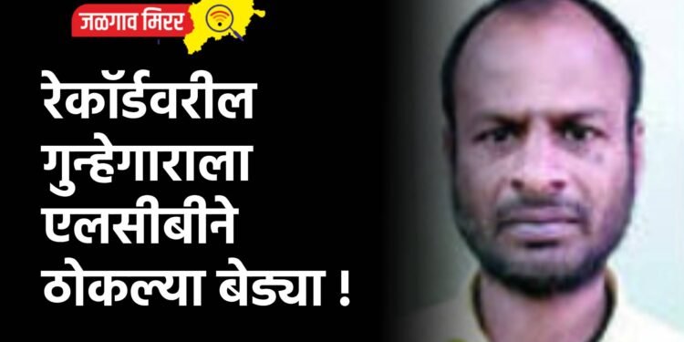 रेकॉर्डवरील गुन्हेगाराला एलसीबीने ठोकल्या बेड्या !
