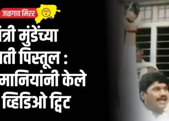 मंत्री मुंडेंच्या हाती पिस्तूल : दमानियांनी केले २‎ व्हिडिओ ट्विट