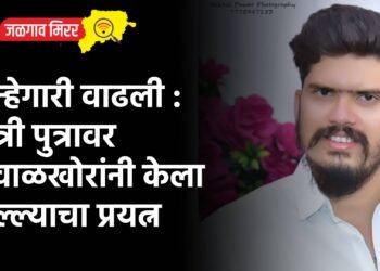 गुन्हेगारी वाढली : मंत्री पुत्रावर टवाळखोरांनी केला हल्ल्याचा प्रयत्न