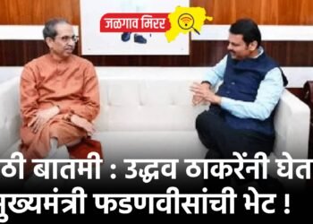 मोठी बातमी : उद्धव ठाकरेंनी घेतली मुख्यमंत्री फडणवीसांची भेट !