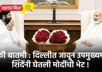 मोठी बातमी : दिल्लीत जावून उपमुख्यमंत्री शिंदेंनी घेतली मोदींची भेट !
