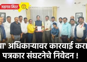 ‘त्या’ अधिकाऱ्यावर कारवाई करा : पत्रकार संघटनेचे निवेदन !