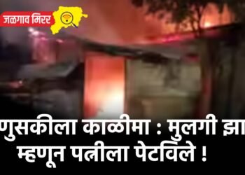 माणुसकीला काळीमा : मुलगी झाली म्हणून पत्नीला पेटविले !