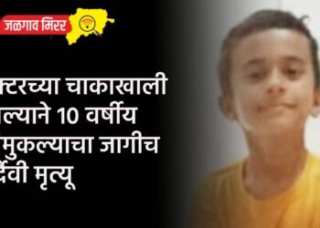 ट्रॅक्टरच्या चाकाखाली आल्याने १० वर्षीय चिमुकल्याचा जागीच दुर्दैवी मृत्यू