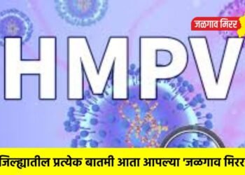चीनमधून भारतात दाखल झाला HMPV व्हायरस ; बंगळुरूत पहिला रुग्ण आढळला !