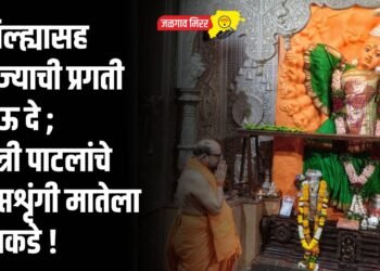जिल्ह्यासह राज्याची प्रगती होऊ दे ; मंत्री पाटलांचे सप्तशृंगी मातेला साकडे !