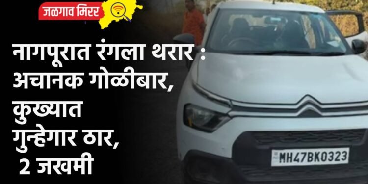 नागपूरात रंगला थरार : अचानक गोळीबार, कुख्यात गुन्हेगार ठार, २ जखमी