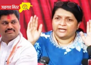 …तेव्हा धनंजय मुंडे माझ्या घरी आले होते ; दमानिया यांचा खळबळजनक दावा