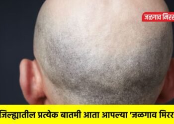 बापरे ! आता हे काय ?… या गावात ‘टक्कल व्हायरस’ची साथ ; तीनच दिवसात पडतेय टक्कल