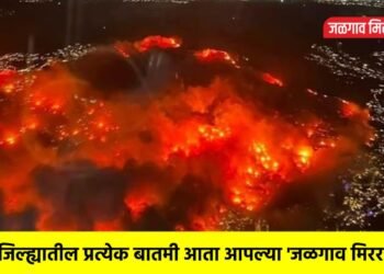 जंगलाला आग लागली पळापळ ! अमेरिकेतील कॅलिफोर्नियातील आगीने रौद्ररूप