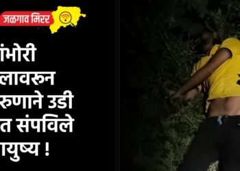 बांभोरी पुलावरून तरुणाने उडी घेत संपविले आयुष्य !