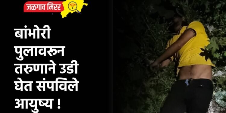 बांभोरी पुलावरून तरुणाने उडी घेत संपविले आयुष्य !