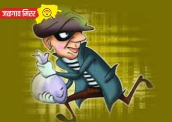 जळगावात चोरट्यांची दादागिरी वाढली ? दुचाकीच्या डिक्कीतून लाख रुपये लंपास !