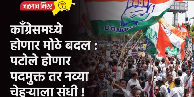 कॉंग्रेसमध्ये होणार मोठे बदल : पटोले होणार पदमुक्त तर नव्या चेहऱ्याला संधी !