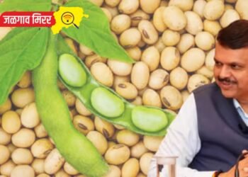 सोयाबीन खरेदीसाठी कायमस्वरूपी यंत्रणा उभारण्यात यावी – मुख्यमंत्री देवेंद्र फडणवीस