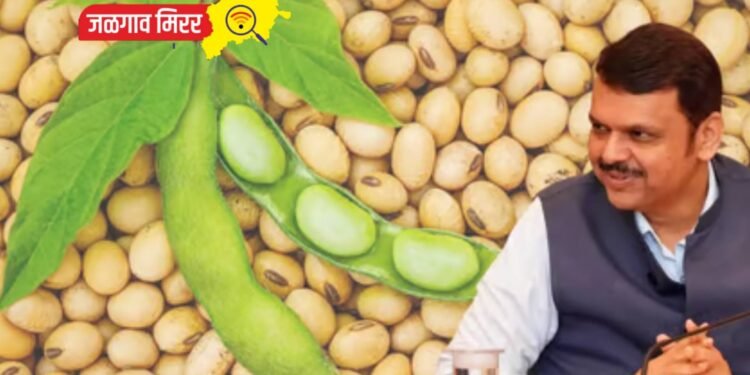 सोयाबीन खरेदीसाठी कायमस्वरूपी यंत्रणा उभारण्यात यावी – मुख्यमंत्री देवेंद्र फडणवीस