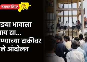माझ्या भावाला न्याय द्या…पाण्याच्या टाकीवर केले आंदोलन