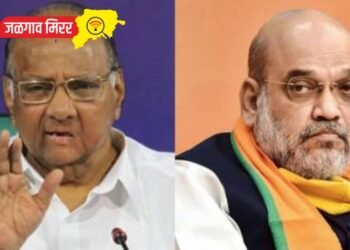 …त्यांची काही स्पेशल ओळखही नव्हती ; शरद पवारांचा टोला !