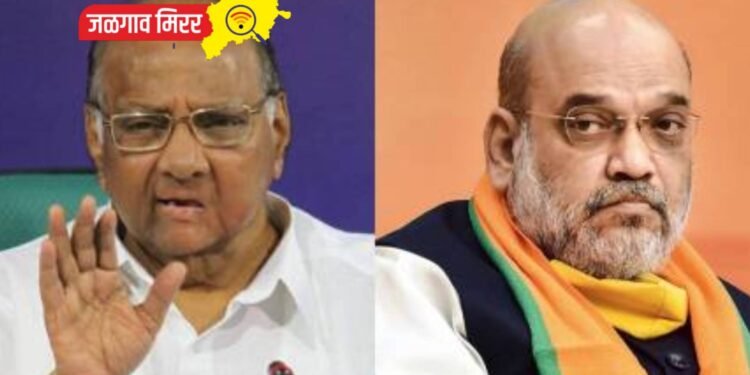 …त्यांची काही स्पेशल ओळखही नव्हती ; शरद पवारांचा टोला !