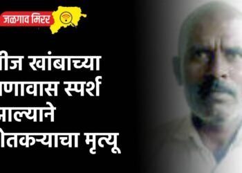 वीज खांबाच्या तणावास स्पर्श झाल्याने शेतकऱ्याचा मृत्यू