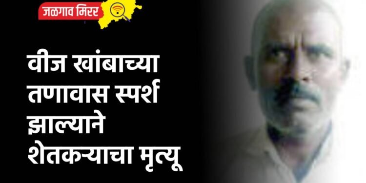 वीज खांबाच्या तणावास स्पर्श झाल्याने शेतकऱ्याचा मृत्यू