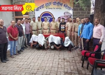 पोलिसांची मोठी कारवाई : लाखो रुपयांचा गांजा जिल्ह्यात जप्त !