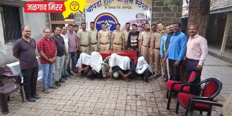 पोलिसांची मोठी कारवाई : लाखो रुपयांचा गांजा जिल्ह्यात जप्त !