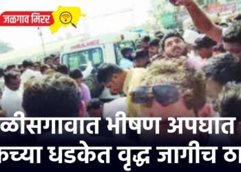 चाळीसगावात भीषण अपघात : ट्रकच्या धडकेत वृद्ध जागीच ठार !