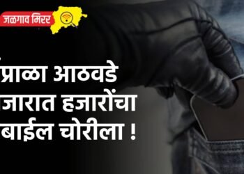 पिंप्राळा आठवडे बाजारात हजारोंचा मोबाईल चोरीला !