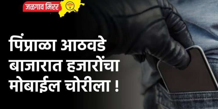 पिंप्राळा आठवडे बाजारात हजारोंचा मोबाईल चोरीला !