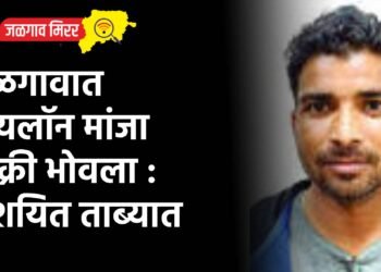 जळगावात नायलॉन मांजा विक्री भोवला : संशयित ताब्यात