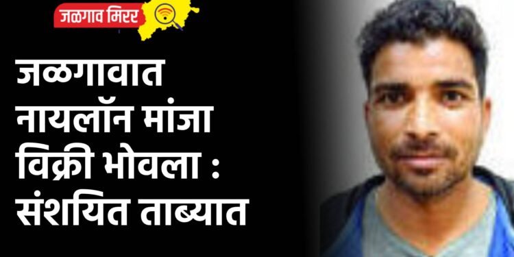 जळगावात नायलॉन मांजा विक्री भोवला : संशयित ताब्यात