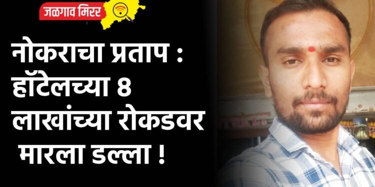 नोकराचा प्रताप : हॉटेलच्या ८ लाखांच्या रोकडवर मारला डल्ला !
