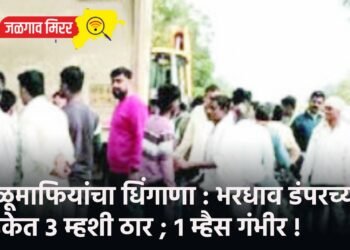वाळूमाफियांचा धिंगाणा : भरधाव डंपरच्या धडकेत 3 म्हशी ठार ; १ म्हैस गंभीर !