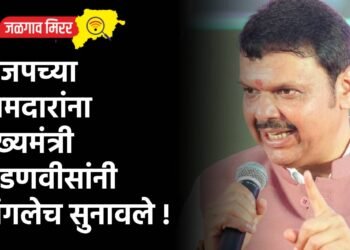 भाजपच्या आमदारांना मुख्यमंत्री फडणवीसांनी चांगलेच सुनावले !