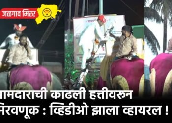 आमदाराची काढली हत्तीवरून मिरवणूक : व्हिडीओ झाला व्हायरल !