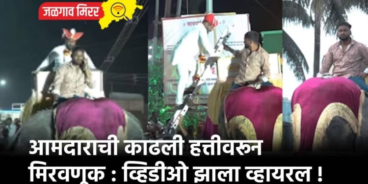 आमदाराची काढली हत्तीवरून मिरवणूक : व्हिडीओ झाला व्हायरल !