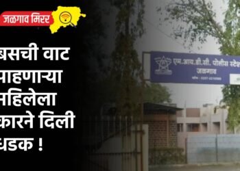 बसची वाट पाहणाऱ्या महिलेला कारने दिली धडक !